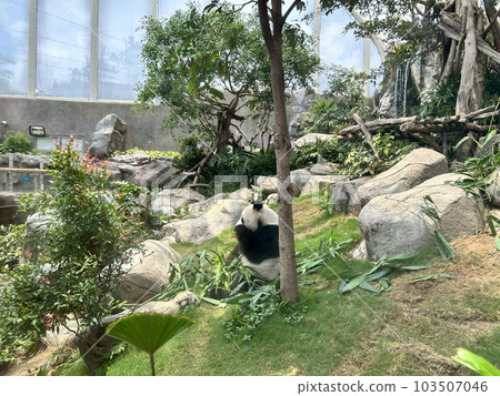 Ocean Park Hong Kong is a marine mammal park, oceanarium, animal theme park and amusement park situated in Wong Chuk Hang and Nam Long Shan in the Southern District of Hong Kong. 103507046