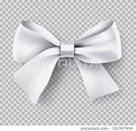 Collection of different elegant silk bows Vector Image