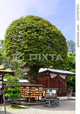 栃木縣足利市 足利織姬神社、結緣之神 103507951