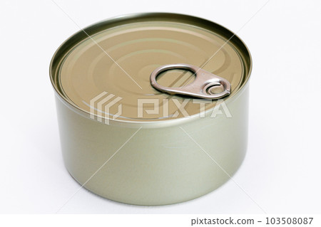 Unopened Tin Can with Blank Edge on White Background 103508087