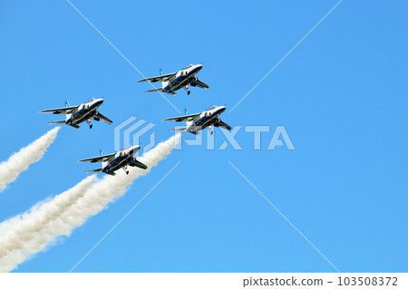 Air Self Defense Force Blue Impulse 103508372
