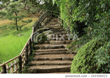 綠意盎然的栗林公園(4月下旬,通往平井峰的階梯) 綠意盎然的栗林公園(4月下旬,通往平井峰的階梯) 103508423