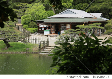 栗林公園的新綠(4月下旬) 栗林公園的新綠(4月下旬) 103508424