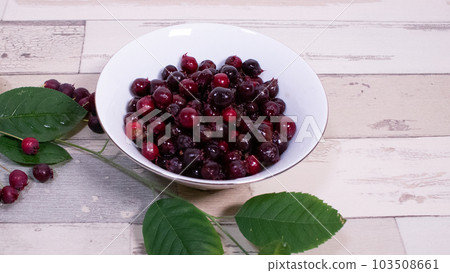 充滿白碗木紋背景的成熟杜鵑花果 103508661