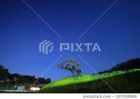 Ozawa Cherry Blossoms and Starry Sky / Tamura City, Fukushima Prefecture 103508989