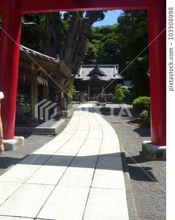 Izutoshita 103508998