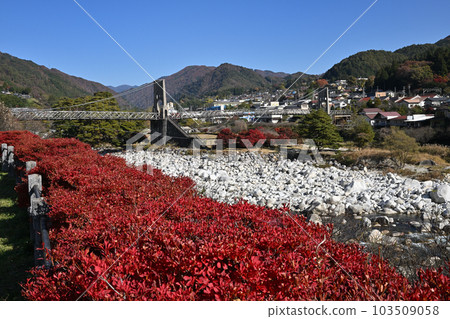 Momosuke橋 103509058