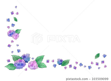 Hydrangea frame 103509099