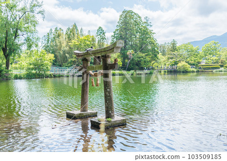 湯布院金卡湖 103509185