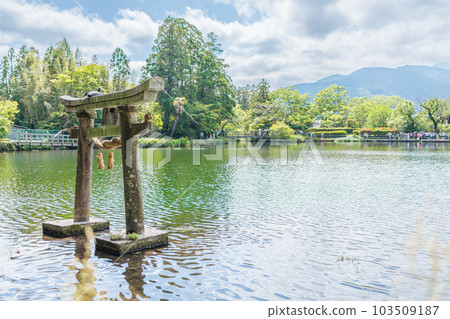 湯布院金卡湖 103509187