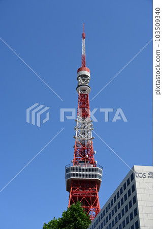 Tokyo Tower    103509340