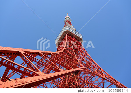 Tokyo Tower    103509344