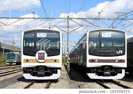 Series EV-E301 on the Karasuyama Line and Series 205 600 on the Nikko Line lined up at the depot Series EV-E301 on the Karasuyama Line and Series 205 600 on the Nikko Line lined up at the depot 103509353