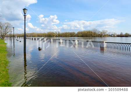 Flood. Embankment of Sozh River, Gomel, Belarus 103509488