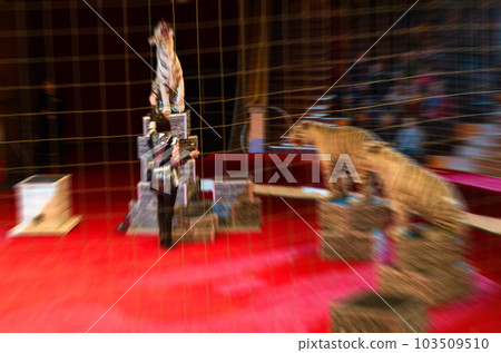 Abstract blurred image of circus performance. Woman and trained white tigers in defocus 103509510