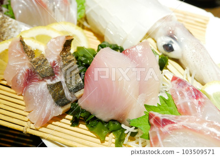 Assorted sashimi platter 103509571