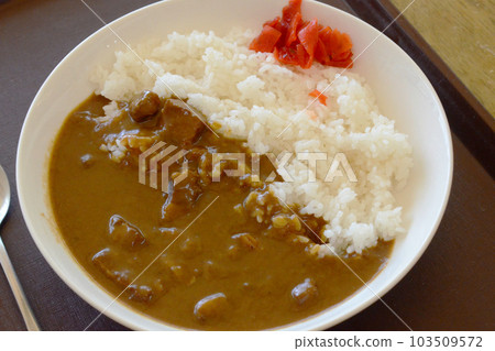 Beef curry 103509572