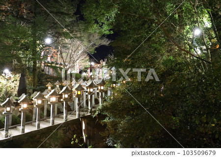Lanterns at Shigisan Chogosonshiji Temple 103509679
