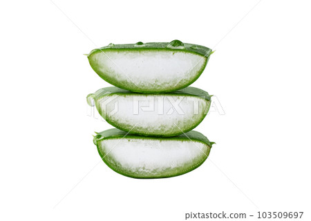 Fresh Aloe vera slice with aloe gel isolated on white background. Aloe vera leaf slice for design of herbal medicine or skin care treatment. Fresh Aloe vera slice with aloe gel isolated on white background. Aloe vera leaf slice for design of herbal medicine or skin care treatment. 103509697