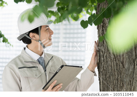 在公園檢查樹木以檢查疾病、倒下的樹木等的人。 在公園檢查樹木以檢查疾病、倒下的樹木等的人。 103511045