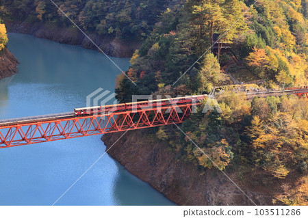 Autumn leaves at Oi Railway Oi Kojo Station Autumn leaves at Oi Railway Oi Kojo Station 103511286