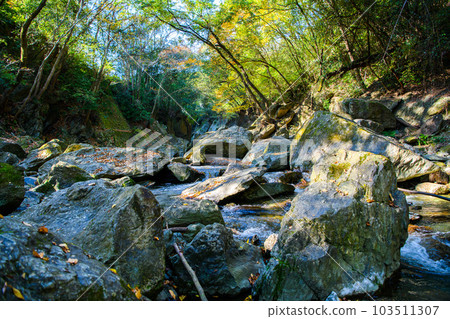 埼玉縣常木川町]桑巴谷 103511307