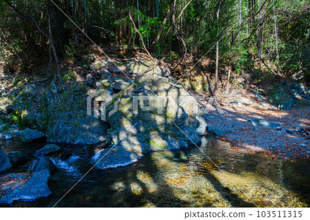 Tokigawa Town, Saitama Prefecture] Samba Valley 103511315