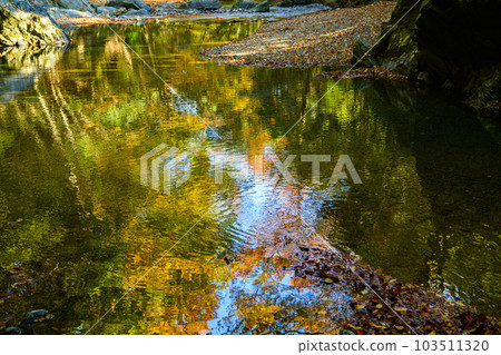 Tokigawa Town, Saitama Prefecture] Samba Valley 103511320
