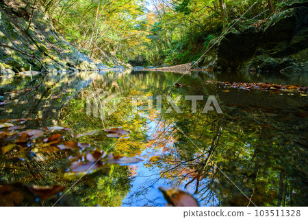Tokigawa Town, Saitama Prefecture] Samba Valley 103511328
