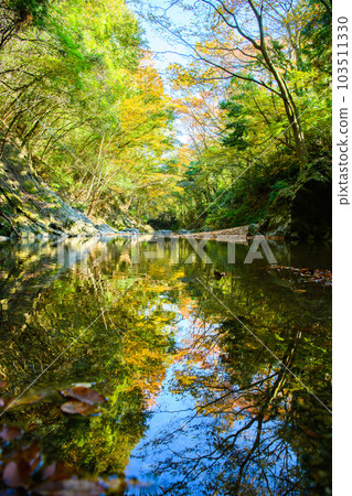 Tokigawa Town, Saitama Prefecture] Samba Valley 103511330