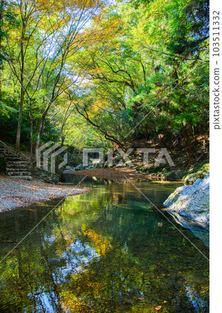 Tokigawa Town, Saitama Prefecture] Samba Valley 103511332