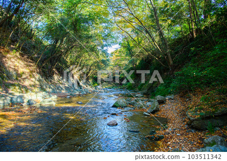 埼玉縣常木川町]桑巴谷 103511342