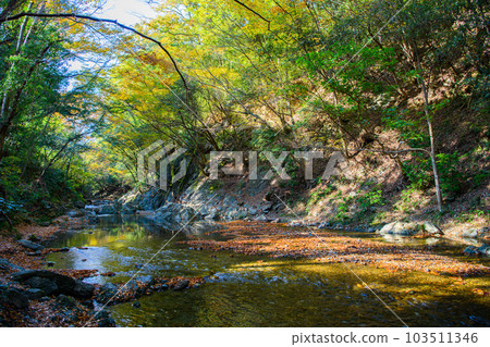 Tokigawa Town, Saitama Prefecture] Samba Valley 103511346