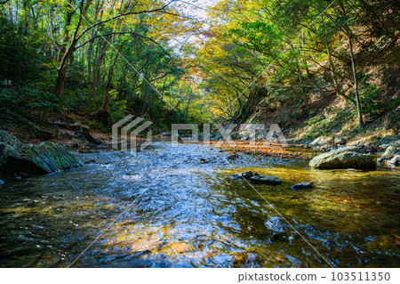 Tokigawa Town, Saitama Prefecture] Samba Valley 103511350