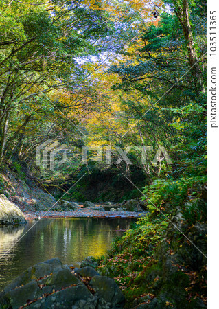 埼玉縣常木川町]桑巴谷 103511365