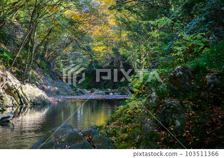 Tokigawa Town, Saitama Prefecture] Samba Valley 103511366