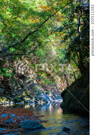 Tokigawa Town, Saitama Prefecture] Samba Valley 103511382