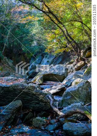 埼玉縣常木川町]桑巴谷 103511385