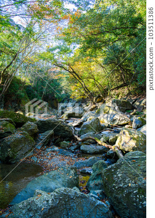 埼玉縣常木川町]桑巴谷 103511386