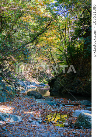 Tokigawa Town, Saitama Prefecture] Samba Valley 103511390