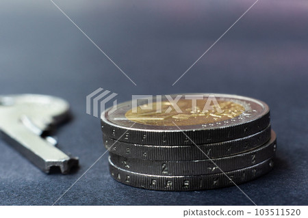 House key on with euro coins money, property market, sale, or rental 103511520