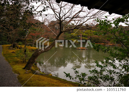 Kinkakuji Kyoko Pond 103511760