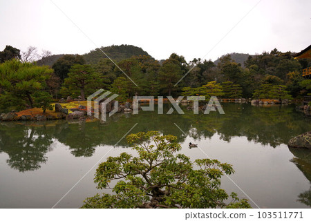 Kinkakuji Kyoko Pond 103511771