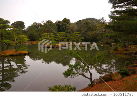 Kinkakuji Kyoko Pond 103511783