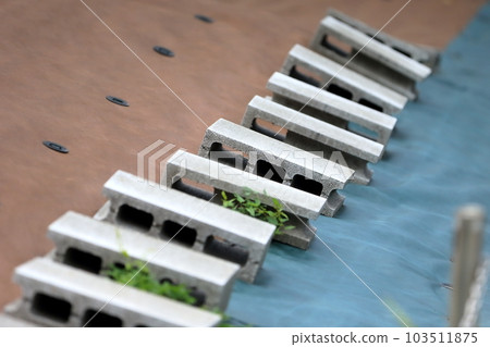 用防草布覆蓋的土地 103511875