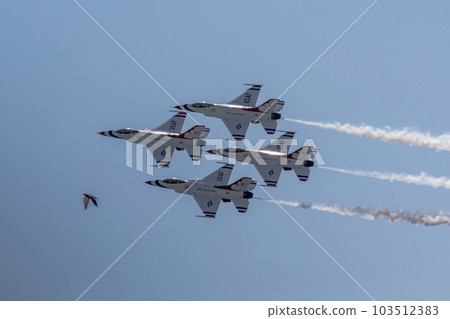 Four F-16 usaf Thunderbirds flying in the diamond formation Four F-16 usaf Thunderbirds flying in the diamond formation 103512383
