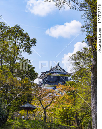 Okazaki Castle in spring seen from the north side (Aichi Prefecture) Okazaki Castle in spring seen from the north side (Aichi Prefecture) 103512566
