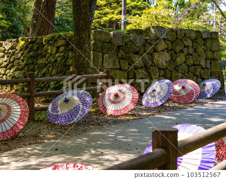 Japanese umbrella in Okazaki Park (Aichi Prefecture) 103512567