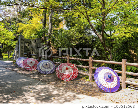 Japanese umbrella in Okazaki Park (Aichi Prefecture) Japanese umbrella in Okazaki Park (Aichi Prefecture) 103512568