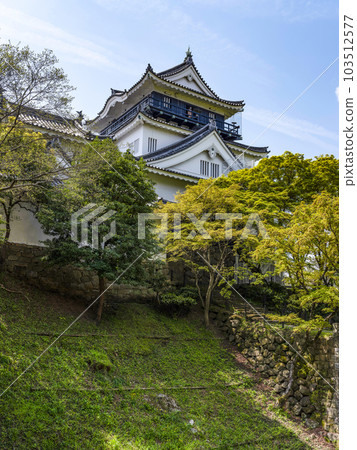 Okazaki Castle in spring seen from the north side (Aichi Prefecture) 103512577